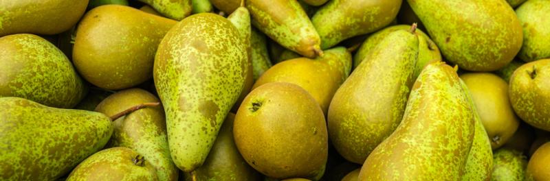 Gruszki i odporność