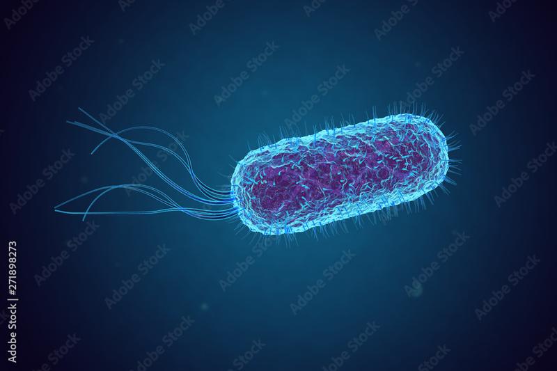 Metody wykrywania E. coli