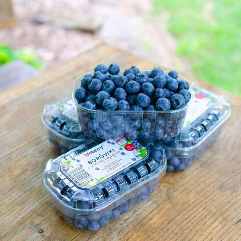 Zdrowotne właściwości borówek