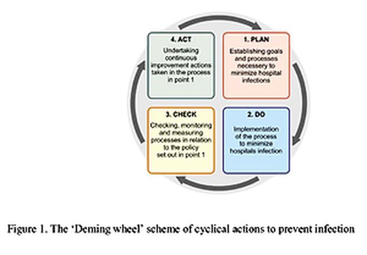 Clostridium – najważniejsze informacje o groźnej bakterii, które musisz znać