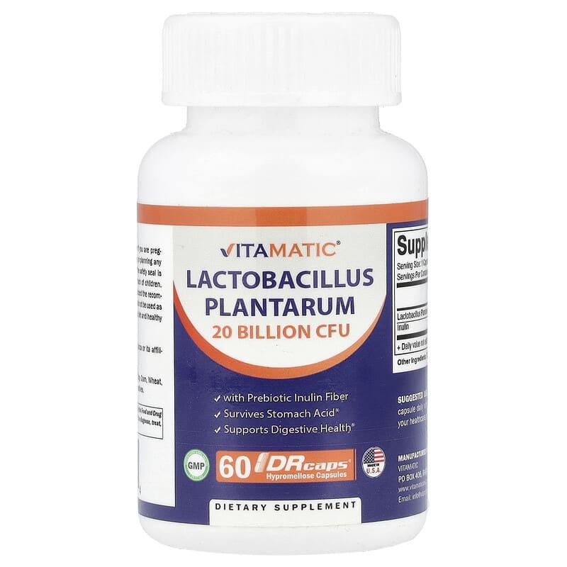 Lactobacillus plantarum 299v a SIBO