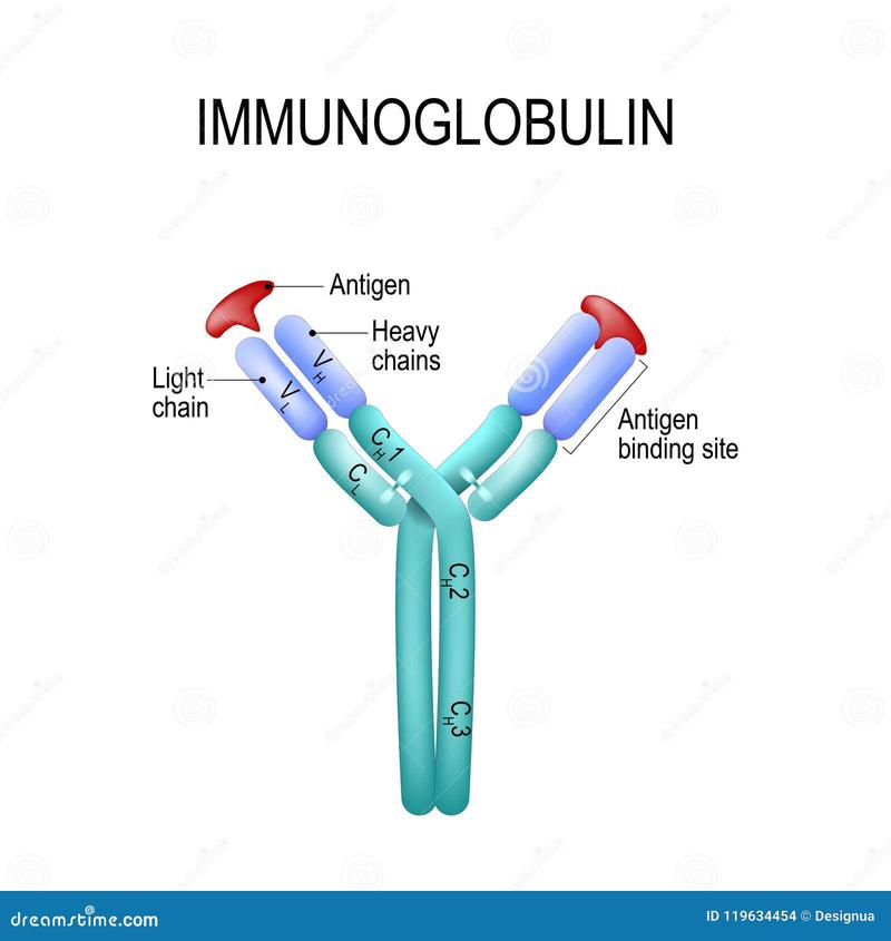 Podwyższone IgE i zdrowie