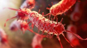 Escherichia coli w pochwie a bezpieczeństwo ciąży – co warto wiedzieć?