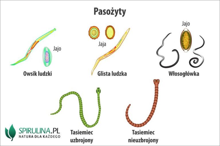 Jak rozpoznać pasożyty w kale? Objawy i skuteczne metody diagnostyczne