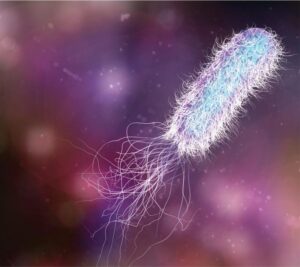 Pseudomonas aeruginosa w uchu – zagrożenie, które musisz znać