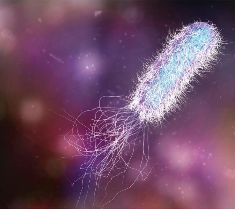 Pseudomonas aeruginosa w uchu – zagrożenie, które musisz znać