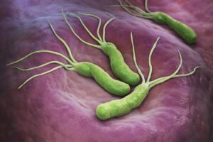 Wybór probiotyków przy Helicobacter pylori – co warto wiedzieć? Sprawdź!