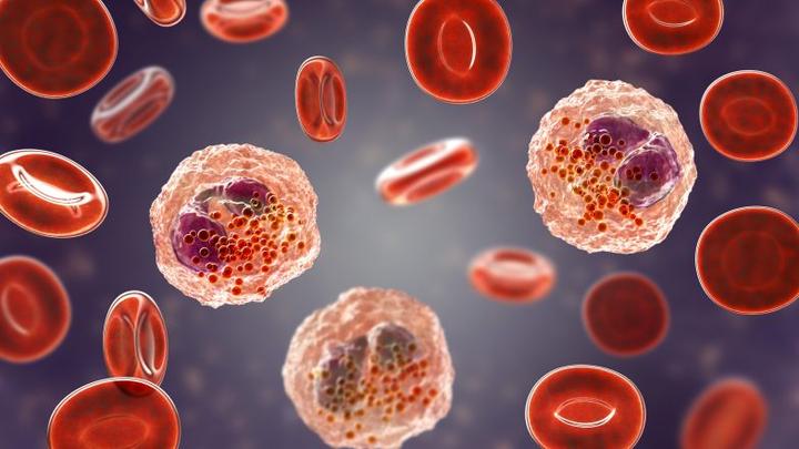 Alergie i nadwrażliwość