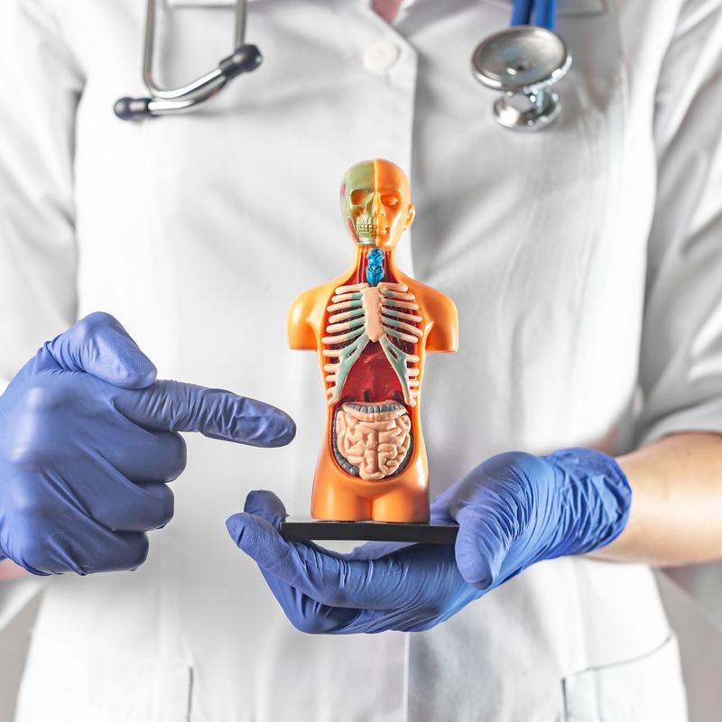 Badania przed kolonoskopią w znieczuleniu ogólnym