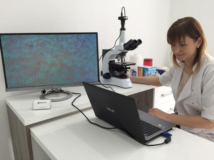 Interpretacja wyników badań