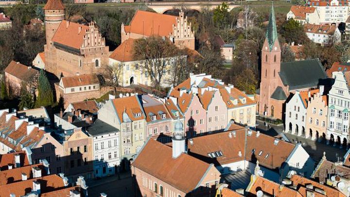 Naukowe dowody właściwości cebuli