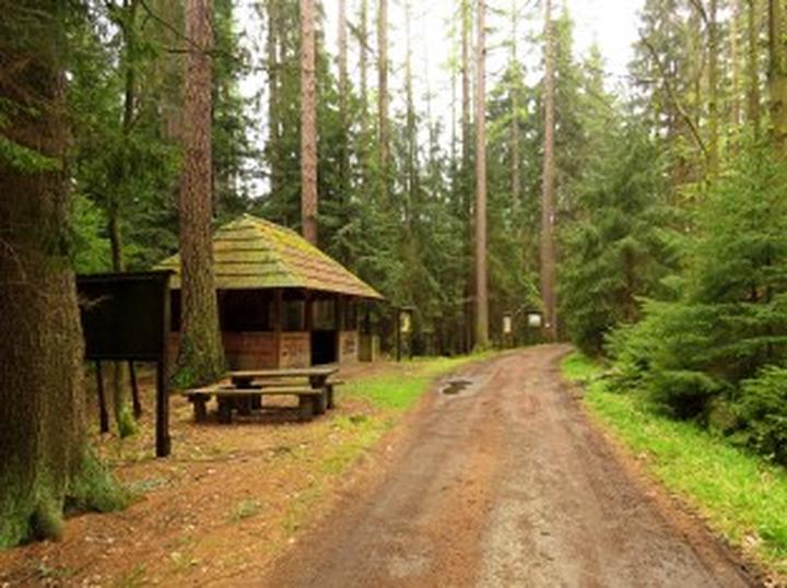 Polanica-Zdrój wody lecznicze