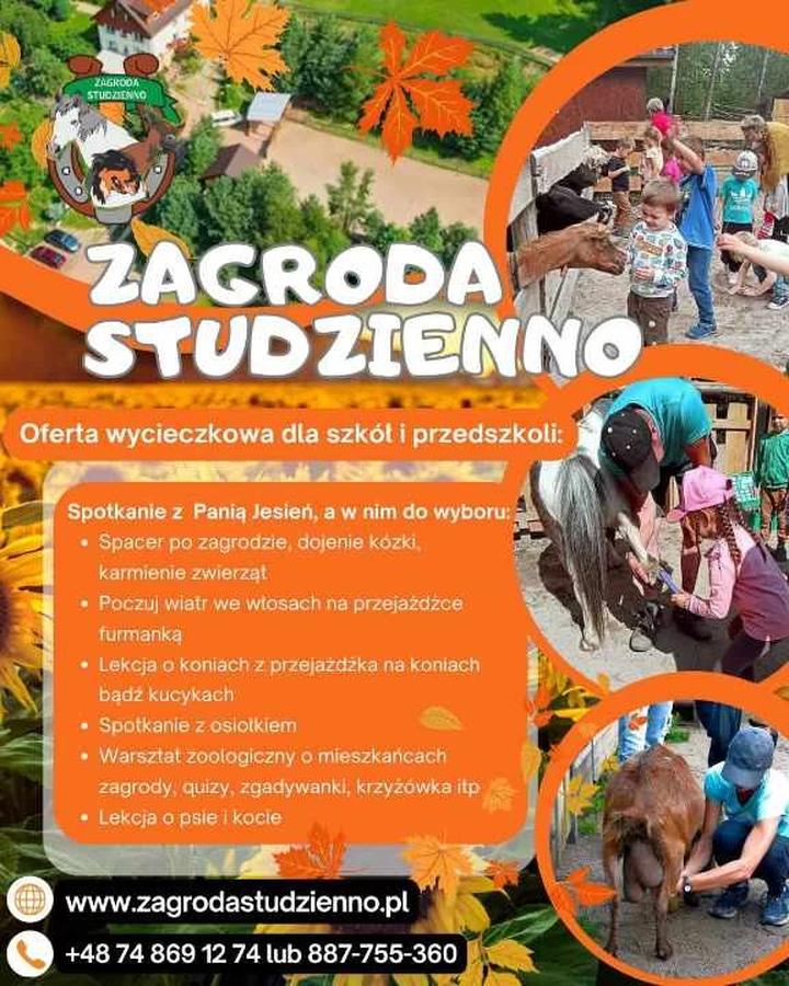 Woda mineralna Krzyżówka