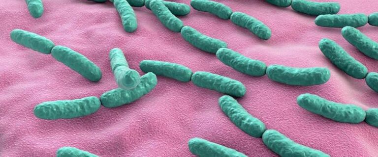 Oto 7 sygnałów, że bakterie w jelitach mogą potrzebować Twojej uwagi