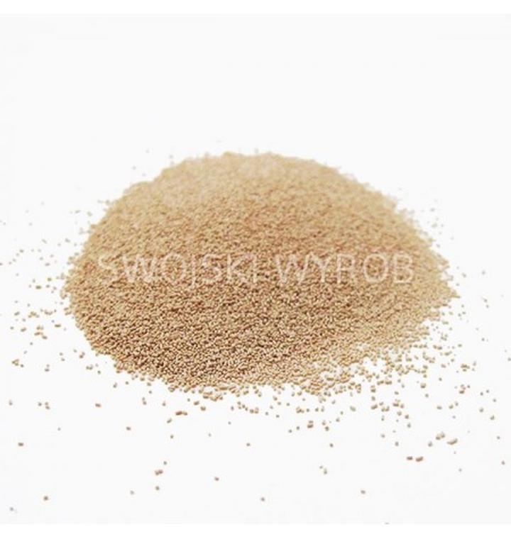 Cechy grzybów i biologia drożdży