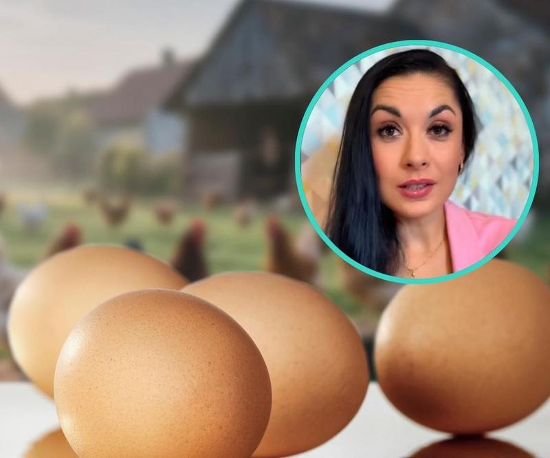 Jajka jako źródło białka