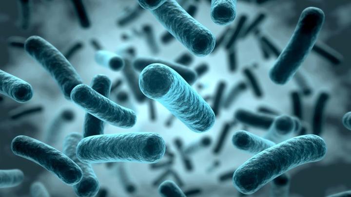 Odbudowa flory jelitowej