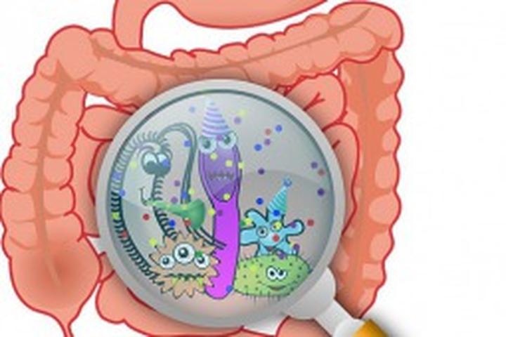 Rodzaje badań mikrobioty