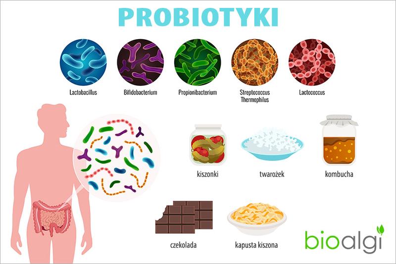 Zasady stosowania probiotyków