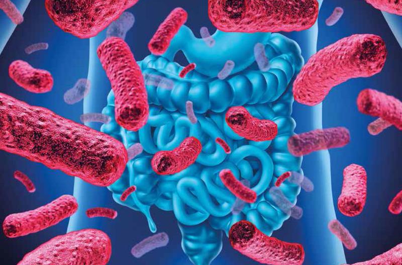 Jak wygląda badanie mikrobioty jelitowej? Poznaj szczegóły procedury!